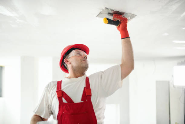 Asbestos and Lead Testing During Mold Inspection in Indianapolis, IN