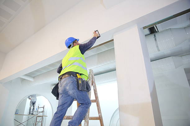Best Black Mold Removal  in Dianapolis, IN