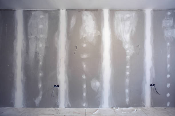 Best HVAC Mold Inspection and Cleaning  in Dianapolis, IN
